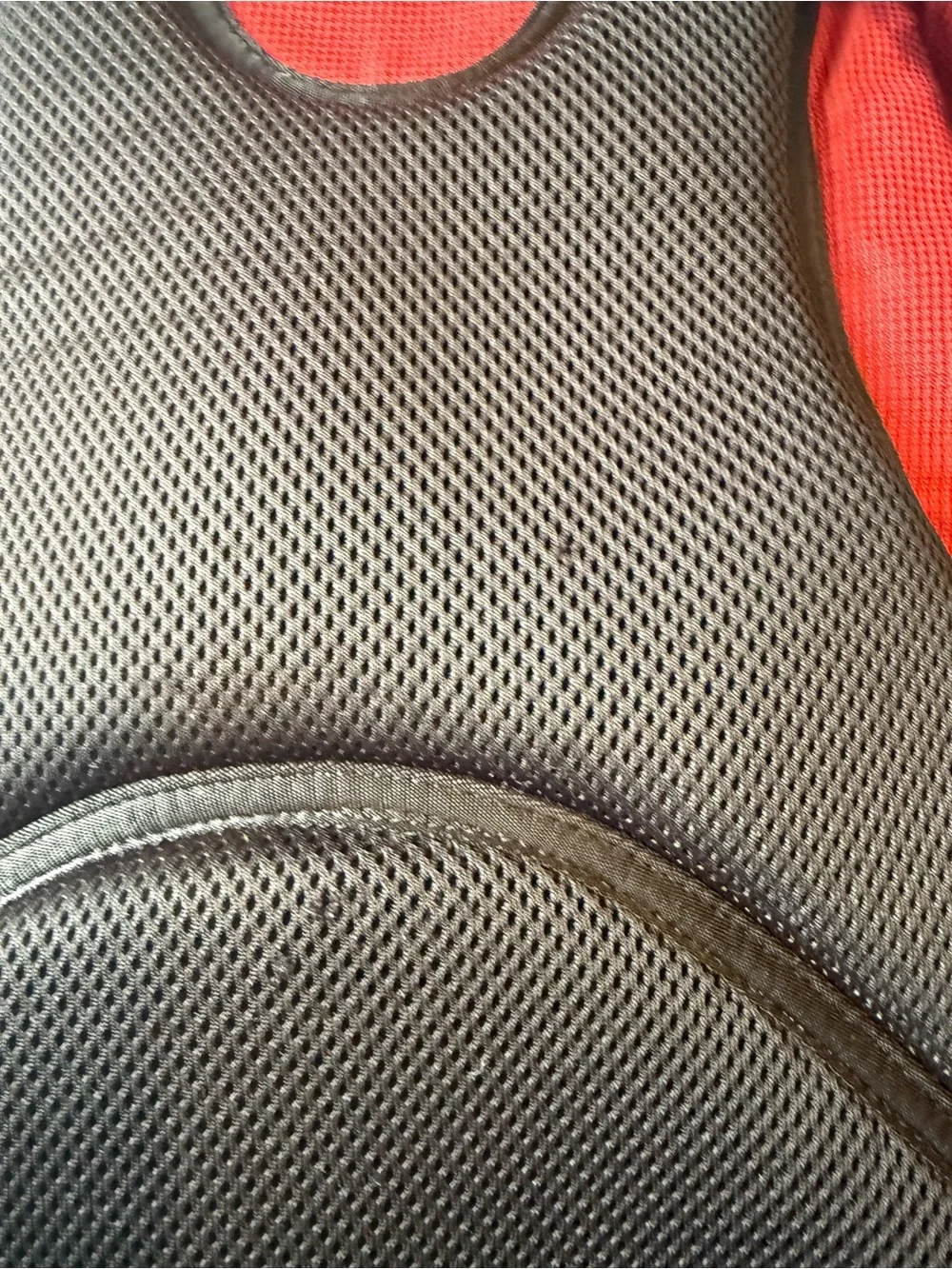 Patagonia Red and Black Everyday Backpack